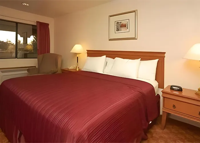 Quality Inn & Suites Gilroy